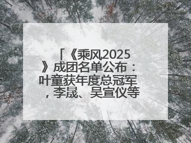 《乘风2025》成团名单公布：叶童获年度总冠军，李晟、吴宣仪等10位姐姐成功成团，陈德容获年度高光人物