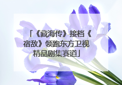 《藏海传》接档《宿敌》领跑东方卫视精品剧集赛道