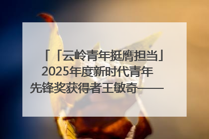 「云岭青年挺膺担当」2025年度新时代青年先锋奖获得者王敏奇——澜沧江上好渔人