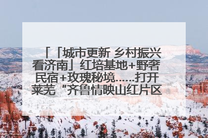 「城市更新 乡村振兴看济南」红培基地+野奢民宿+玫瑰秘境……打开莱芜“齐鲁情映山红片区”的破圈秘籍