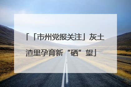 「市州党报关注」灰土渣里孕育新“硒”望