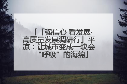 「强信心 看发展·高质量发展调研行」平凉：让城市变成一块会“呼吸”的海绵