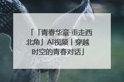 「青春华章·重走西北角」AI视频丨穿越时空的青春对话