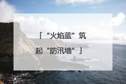 “火焰蓝”筑起“防汛墙”