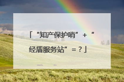 “知产保护哨”+“经盾服务站”=?