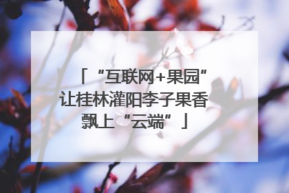 “互联网+果园”让桂林灌阳李子果香飘上“云端”
