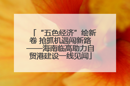 “五色经济”绘新卷 抢抓机遇闯新路——海南临高助力自贸港建设一线见闻