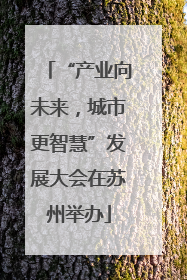“产业向未来，城市更智慧”发展大会在苏州举办