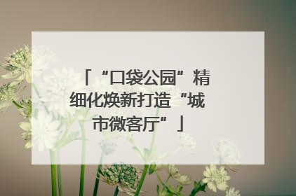 “口袋公园”精细化焕新打造“城市微客厅”