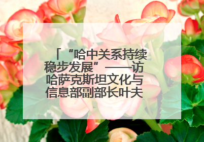 “哈中关系持续稳步发展”——访哈萨克斯坦文化与信息部副部长叶夫根尼·科切托夫