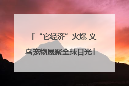 “它经济”火爆 义乌宠物展聚全球目光