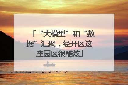 “大模型”和“数据”汇聚，经开区这座园区很酷炫