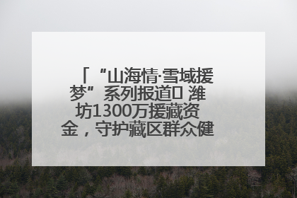 “山海情·雪域援梦”系列报道⑪ 潍坊1300万援藏资金，守护藏区群众健康“最后一公里”