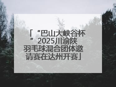 “巴山大峡谷杯”2025川渝陕羽毛球混合团体邀请赛在达州开赛