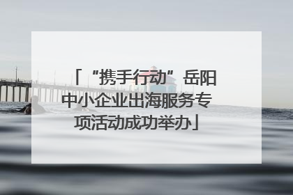 “携手行动”岳阳中小企业出海服务专项活动成功举办