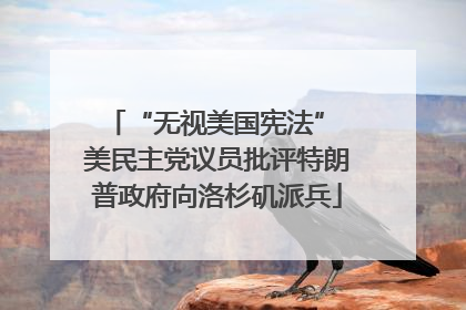 “无视美国宪法” 美民主党议员批评特朗普政府向洛杉矶派兵