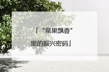“泉果飘香”里的振兴密码