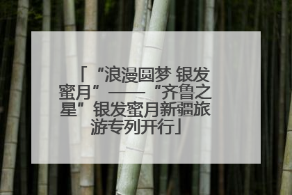 “浪漫圆梦 银发蜜月”——“齐鲁之星”银发蜜月新疆旅游专列开行