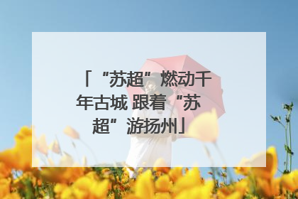 “苏超”燃动千年古城 跟着“苏超”游扬州