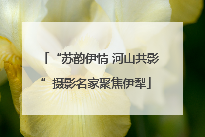 “苏韵伊情 河山共影”摄影名家聚焦伊犁