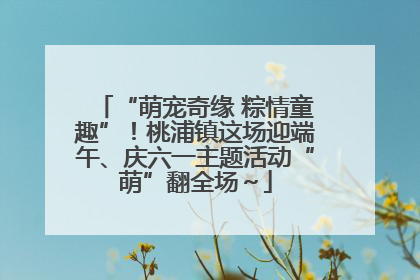 “萌宠奇缘 粽情童趣”！桃浦镇这场迎端午、庆六一主题活动“萌”翻全场～