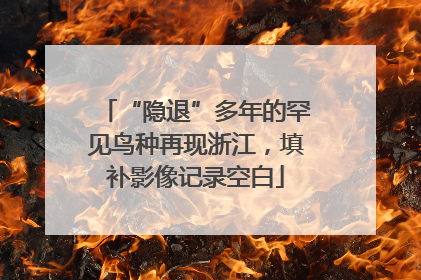 “隐退”多年的罕见鸟种再现浙江，填补影像记录空白