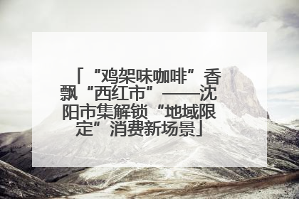 “鸡架味咖啡”香飘“西红市”——沈阳市集解锁“地域限定”消费新场景