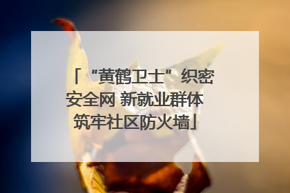 “黄鹤卫士”织密安全网 新就业群体筑牢社区防火墙