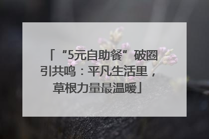 “5元自助餐”破圈引共鸣：平凡生活里，草根力量最温暖