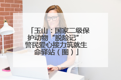 玉山：国家二级保护动物“脱险记” 警民爱心接力筑就生命驿站（图）