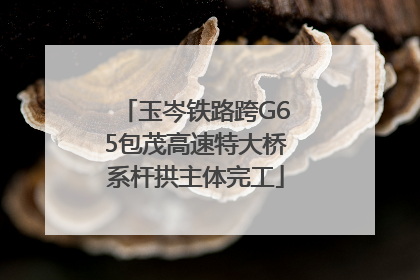 玉岑铁路跨G65包茂高速特大桥系杆拱主体完工