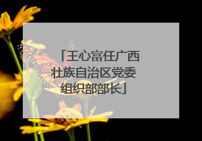 王心富任广西壮族自治区党委组织部部长