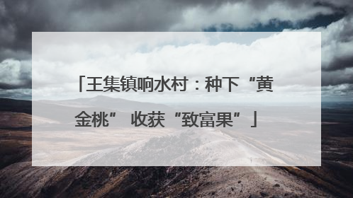 王集镇响水村：种下“黄金桃” 收获“致富果”