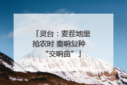 灵台：麦茬地里抢农时 奏响复种“交响曲”
