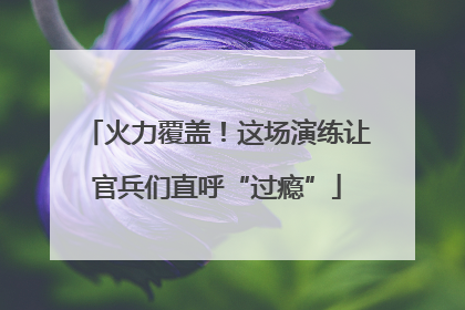 火力覆盖！这场演练让官兵们直呼“过瘾”