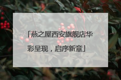 燕之屋西安旗舰店华彩呈现，启序新章