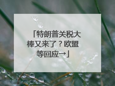 特朗普关税大棒又来了？欧盟等回应→