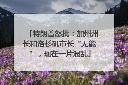 特朗普怒批：加州州长和洛杉矶市长“无能”，现在一片混乱