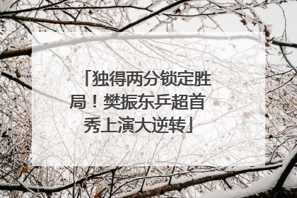 独得两分锁定胜局！樊振东乒超首秀上演大逆转