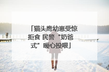 猫头鹰幼崽受惊拒食 民警“奶爸式”暖心投喂