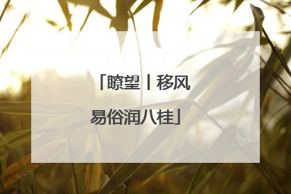 瞭望丨移风易俗润八桂