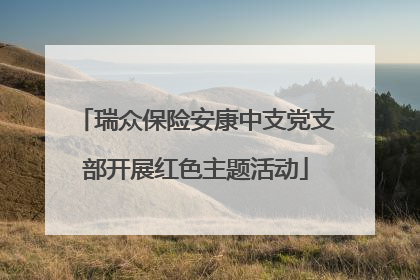 瑞众保险安康中支党支部开展红色主题活动
