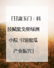 甘肃玉门：科技赋能戈壁绿洲小院 引领蜜瓜产业振兴