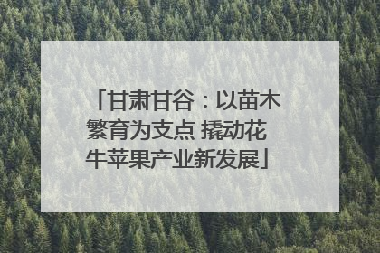 甘肃甘谷：以苗木繁育为支点 撬动花牛苹果产业新发展