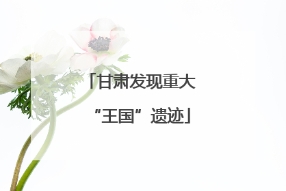 甘肃发现重大“王国”遗迹