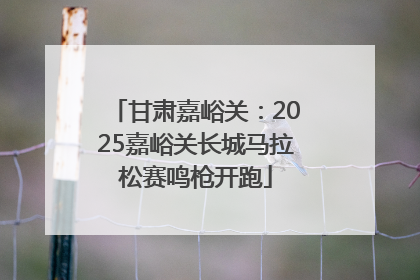 甘肃嘉峪关：2025嘉峪关长城马拉松赛鸣枪开跑