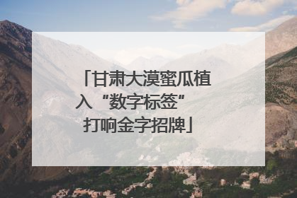 甘肃大漠蜜瓜植入“数字标签” 打响金字招牌