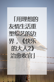 用理想的友情生活重塑综艺的边界，《快乐的大人2》治愈收官