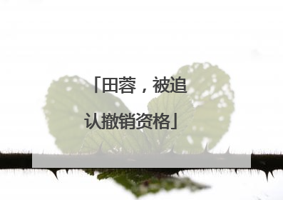 田蓉，被追认撤销资格