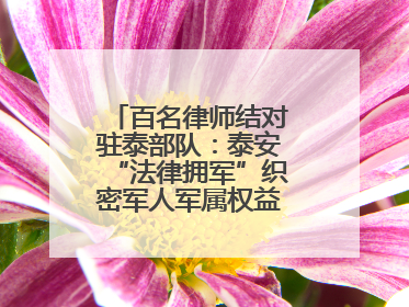 百名律师结对驻泰部队：泰安“法律拥军”织密军人军属权益“防护网”